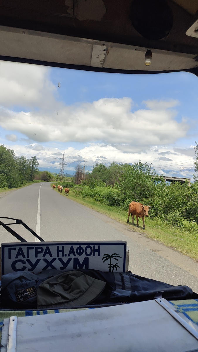 Маршрутка Сухум-Ткуарчал. "Депутатские" передние места, как сказал водитель))