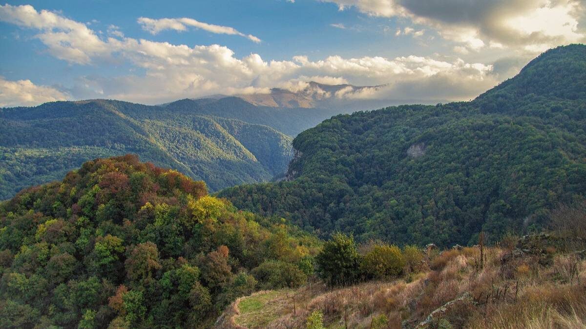    Фото: Shutterstock