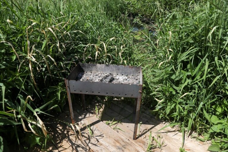    Фото: Агентство «Москва»/Сандурская Софья Александра Горохова