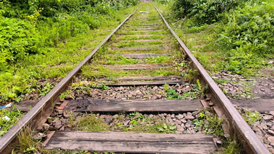    Maksim Konstantinov/Globallookpress