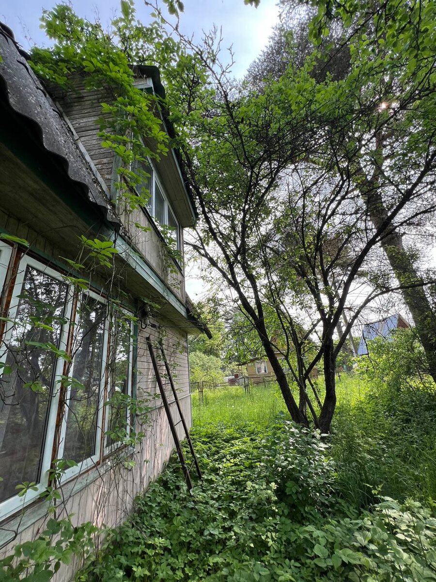 Мой дачный домик в посёлке Новая Ропша, Ломоносовского района, Ленинградской области. Фото из личного архива автора.