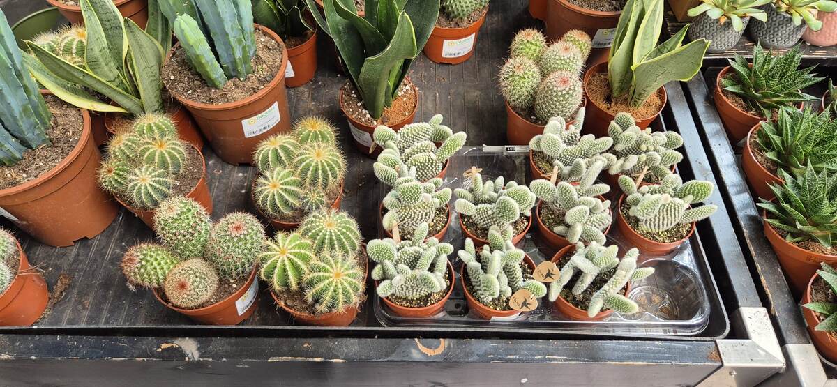 Фото из личного архива.