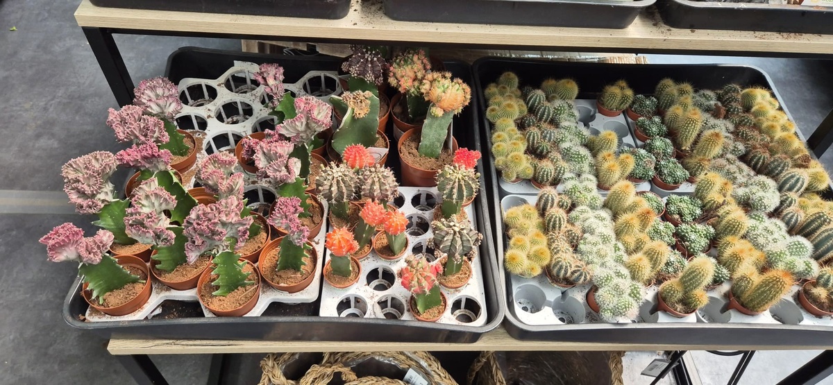 Фото из личного архива.