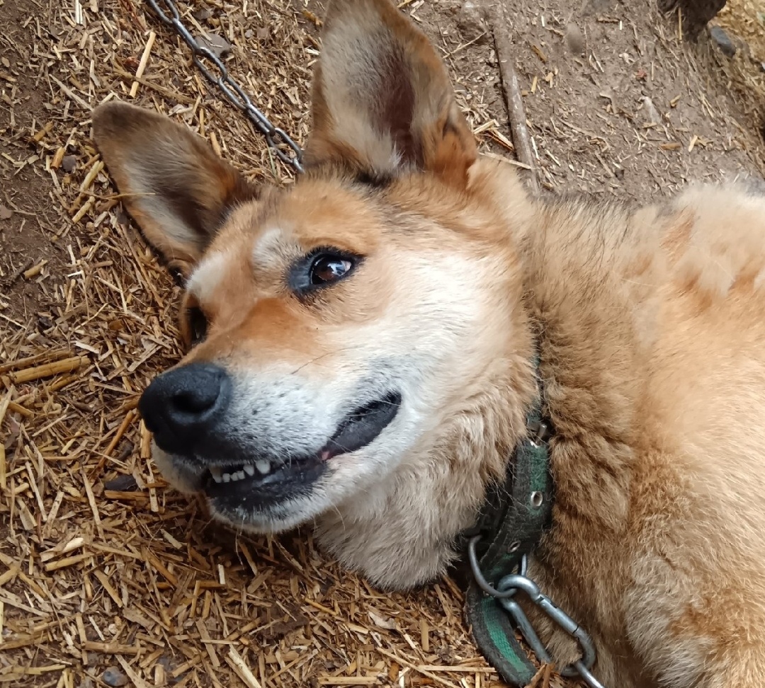 Красотка Зоя принимает солнечные ванны