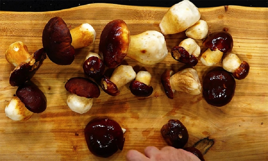 Белый грибной суп по-мишелиновски — ресторанный вкус дома, на обычной кухне