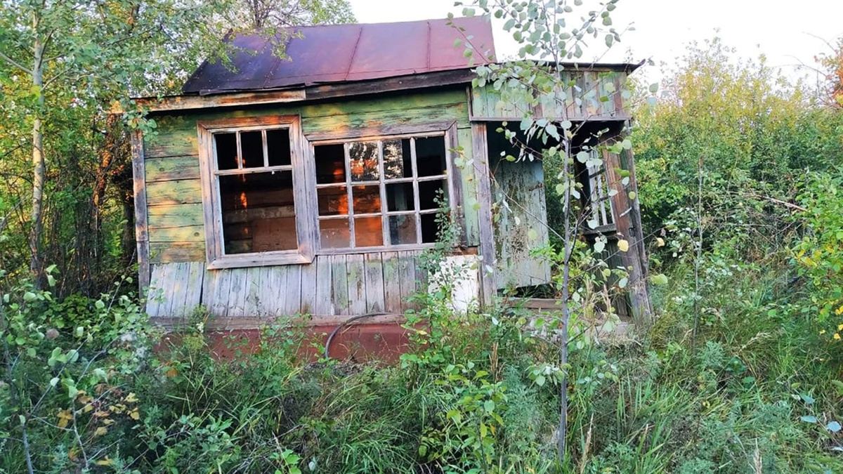 Владельцев заброшенных участков обязали наводить порядок — иначе штраф