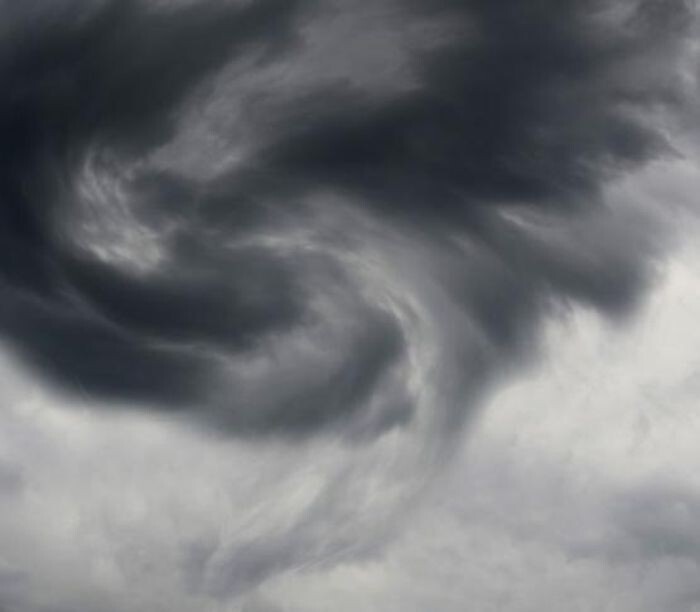 Источник фото: Из открытых источников