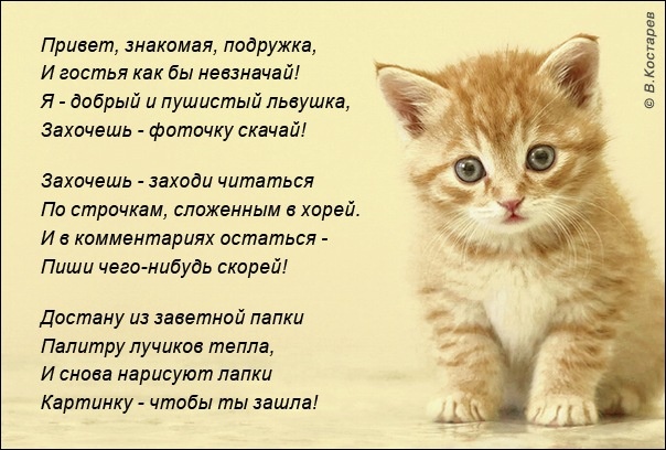 Родился в День блогера, будет писать,как папка Сережа!❤️
