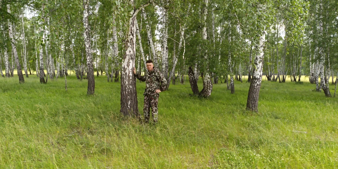 Сложно потеряться в наших лесах