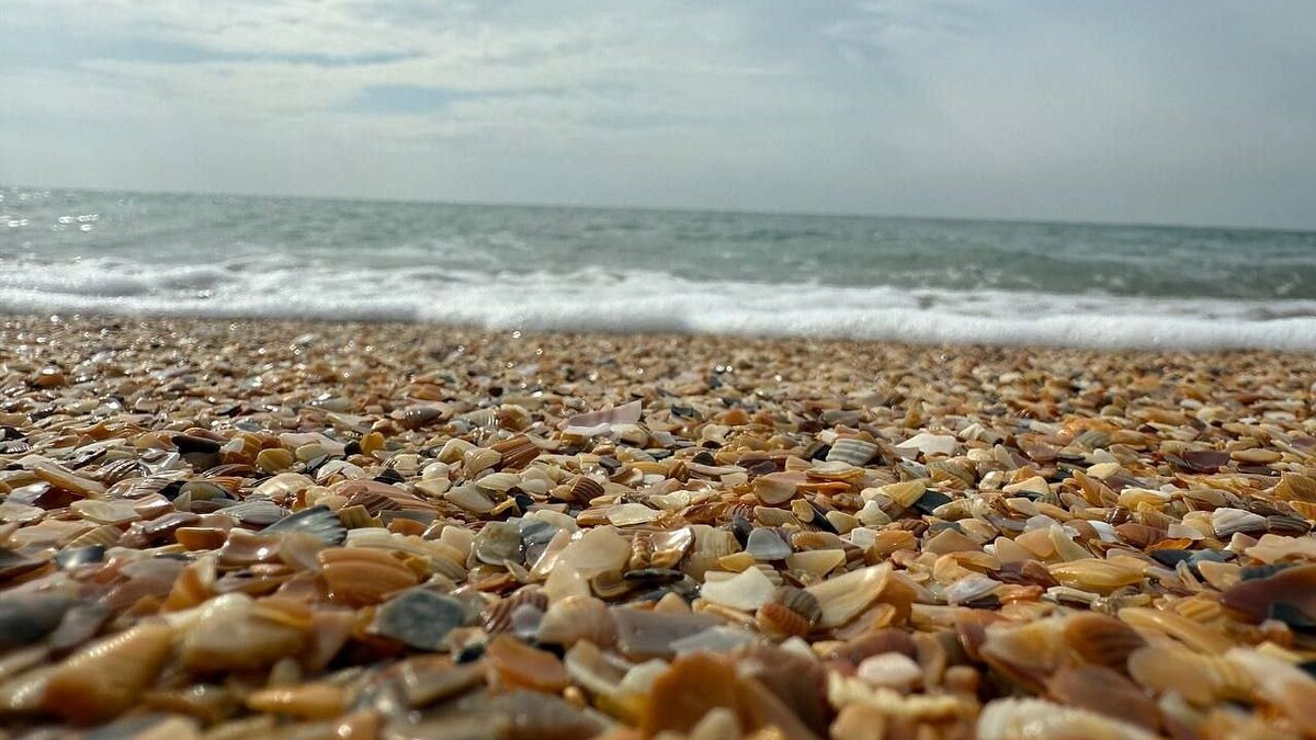    Фото: телеканал «Краснодар»