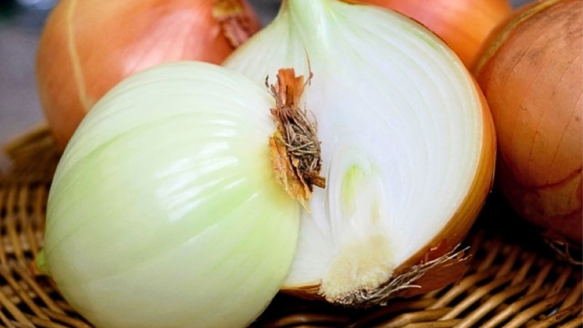 Яндекс картинки