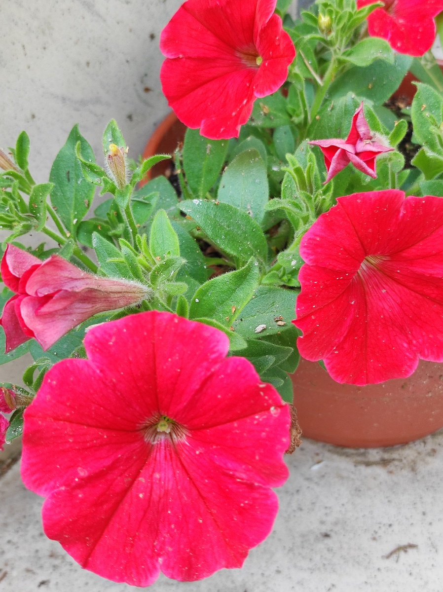 Дистайте галерею