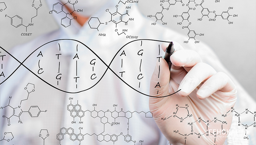 Wichy // shutterstock.com