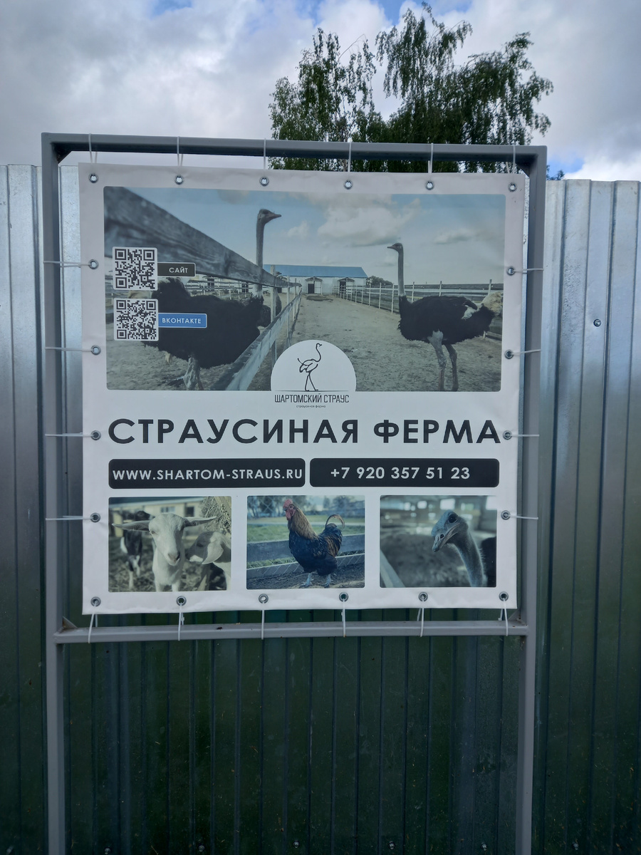 Афиша страусинной фермы .в Ивановской области, в самом сердце Шуйского района , п Введенье из личного архива