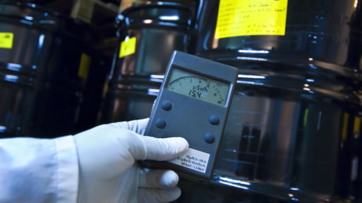    Фото: zlikovec/Shutterstock/Fotodom