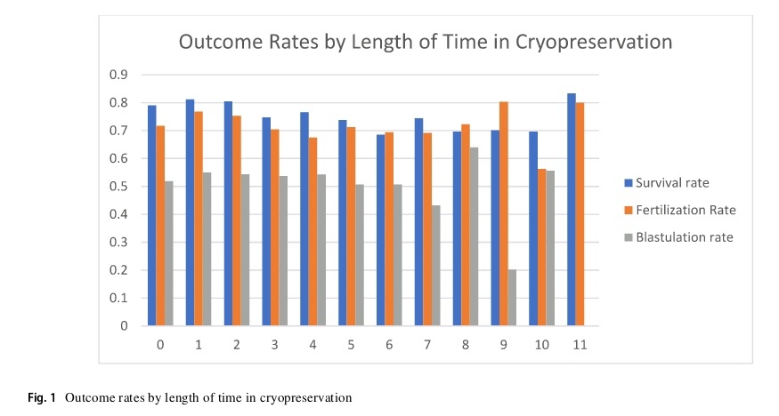 Рис. 1 Показатели исходов в зависимости от продолжительности криоконсервации 🔹коэффициент выживаемости🔸коэффициент оплодотворения▪️коэффициент бластуляции