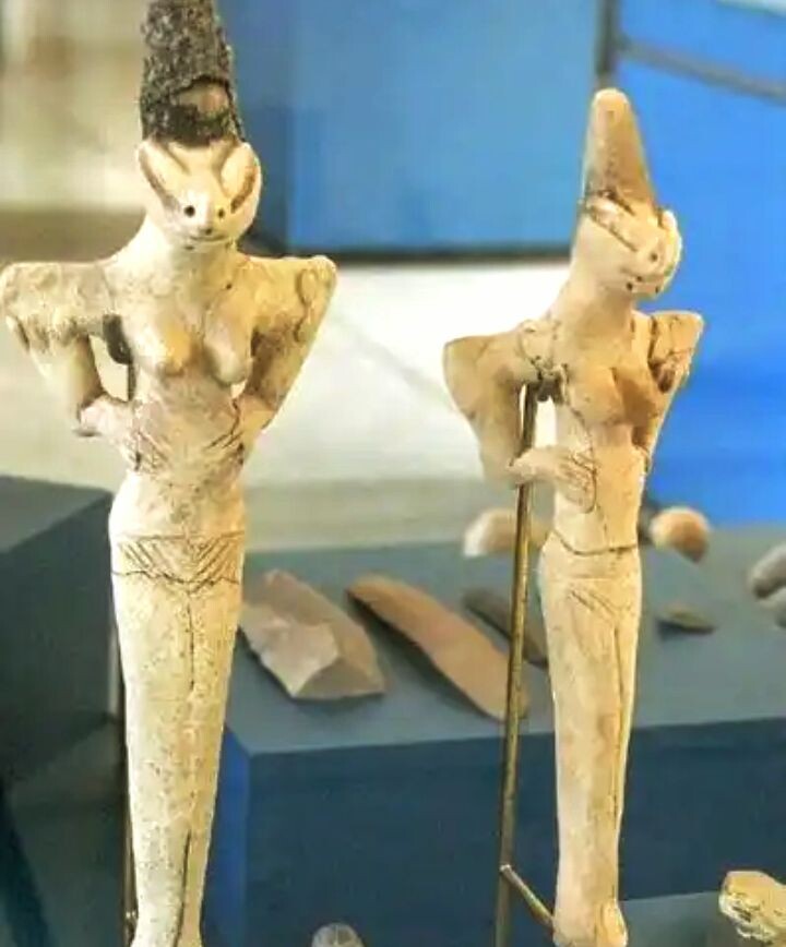 Фото взято из открытых источников 