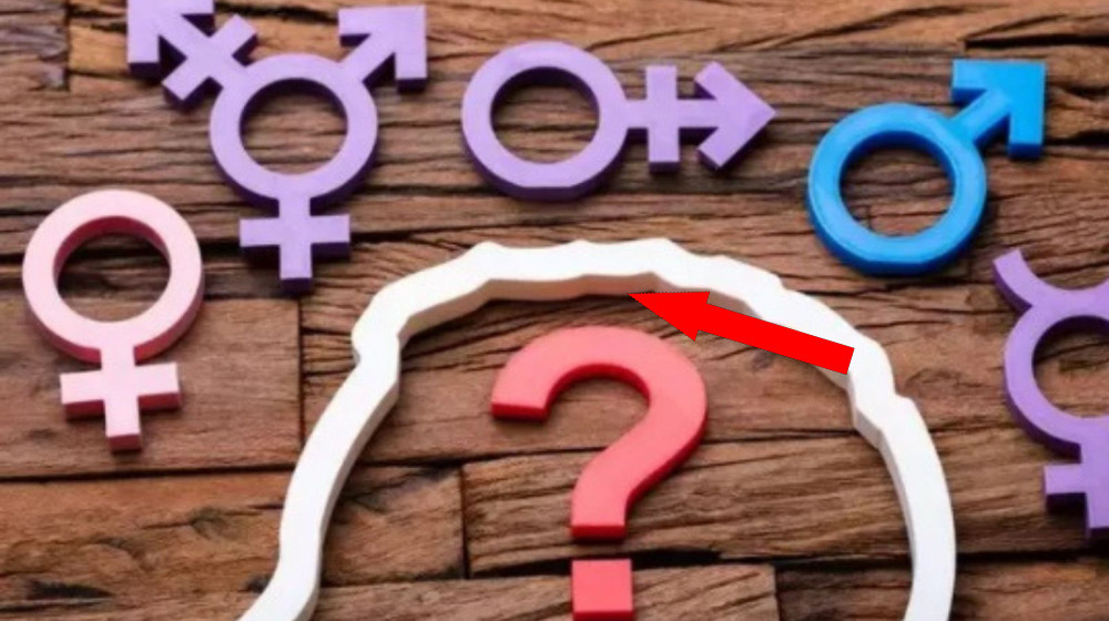    Тайна пола Иман Хелиф и почему наука до сих пор бессильна