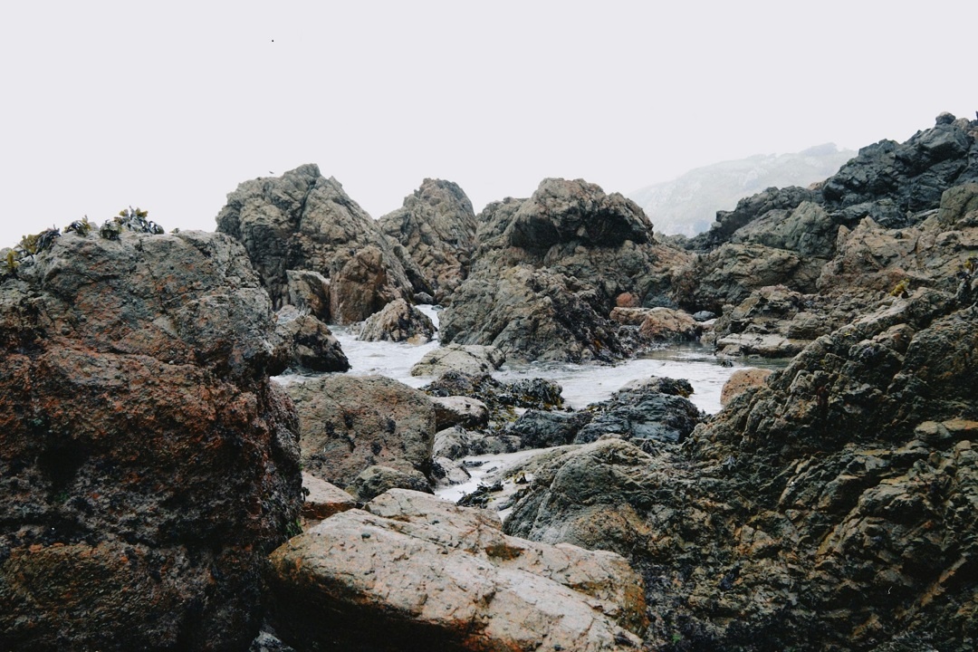 Источник: https://unsplash.com/ 