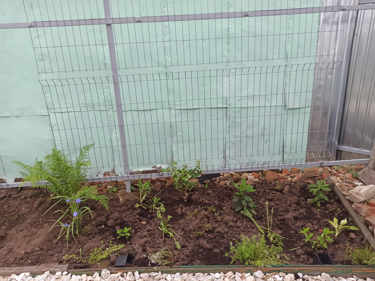 По центру прижатый к сетке Take a chance.