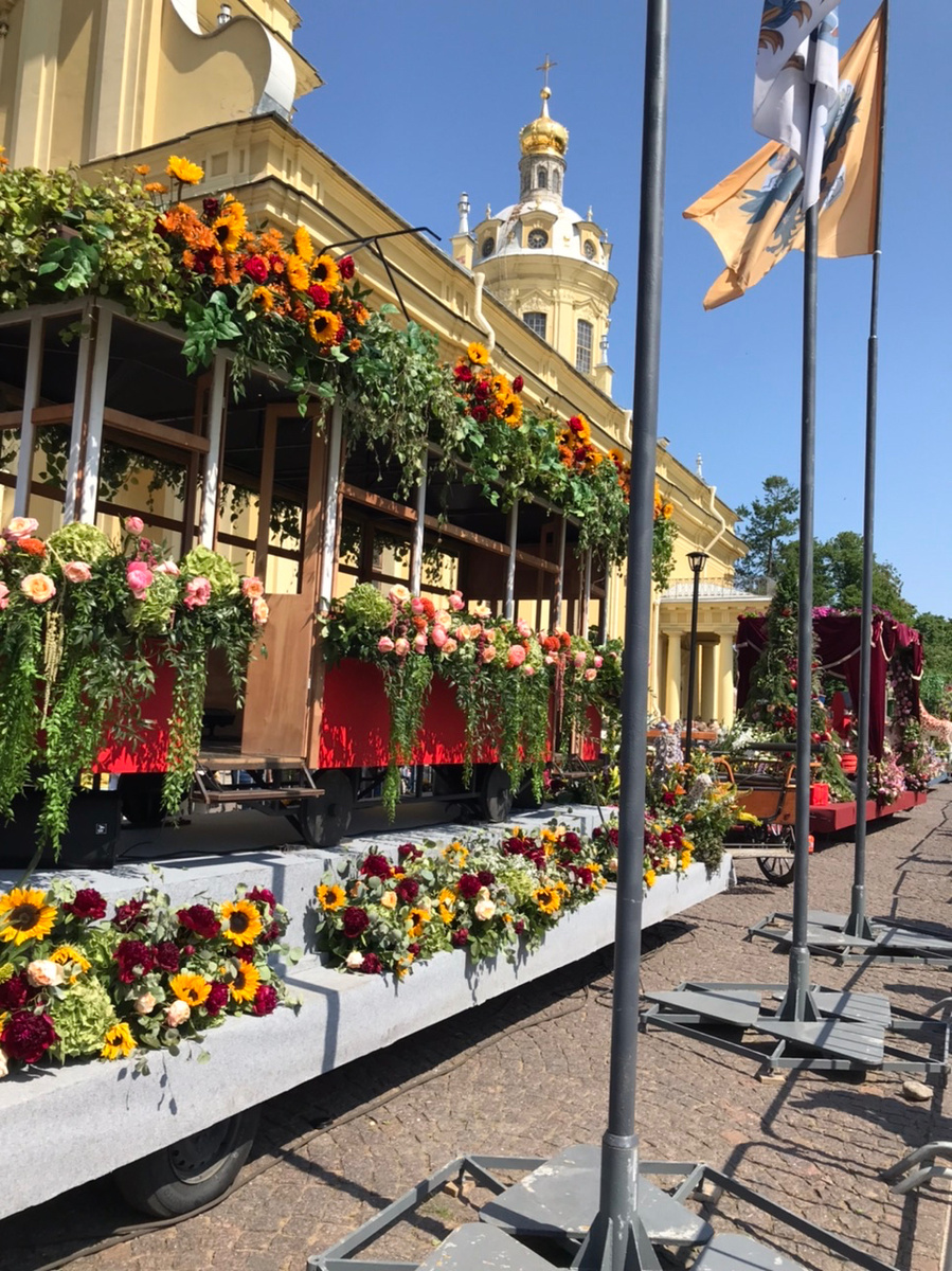 Старый трамвайчик. Фестиваль цветов в Питере, 2025. Фото Элины Васильевой 