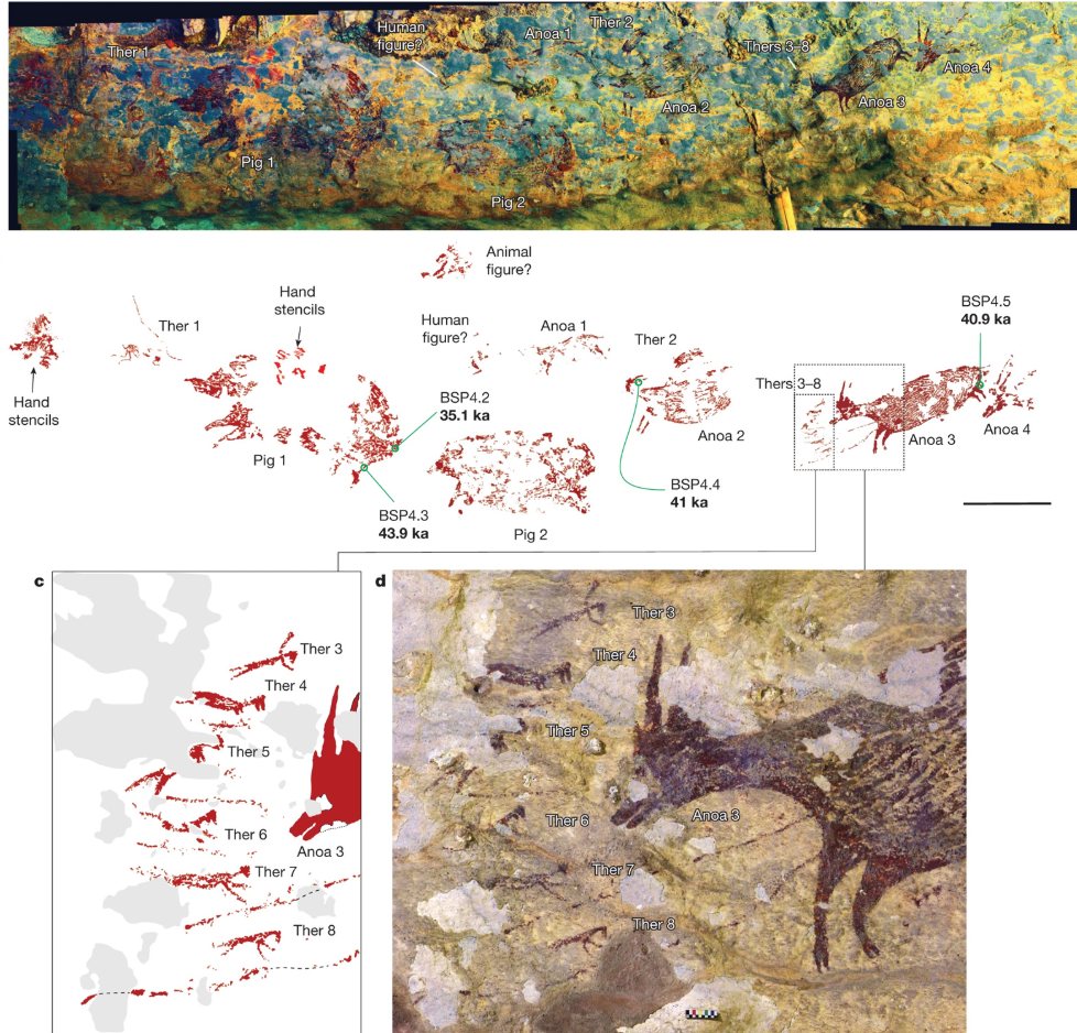  Изображение фантастических сцен охоты на стене пещеры Леанг Булу Сипонг 4 на острове Сулавеси. Отмечены фигуры териантропов (человеко-животных, Ther 1–8), целебесских свиней (Pig 1–2), карликовых буйволов аноа (Anoa 1–3), отпечатки (трафареты) ладоней (Hand stencils). 
