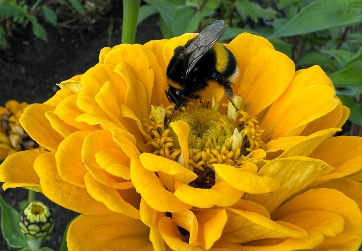 Фото: UfaTime.ru