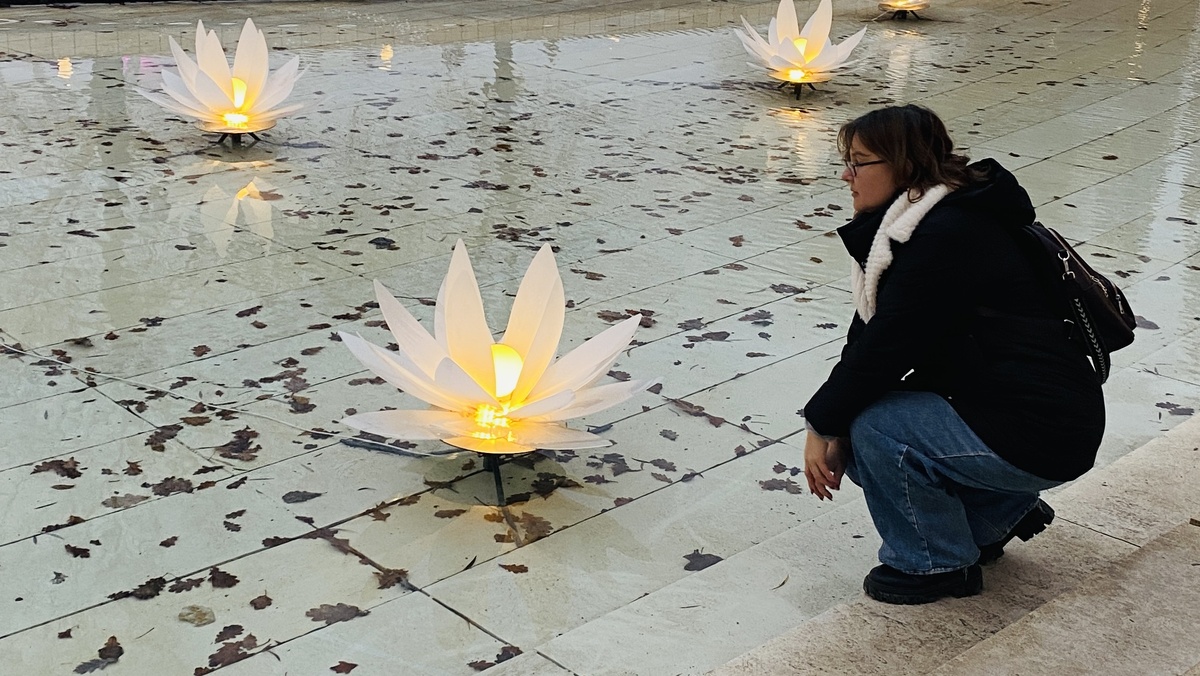 Январь 2025-го года в Парке Галицкого:)