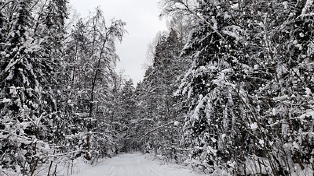    Maksim Konstantinov/Globallookpress