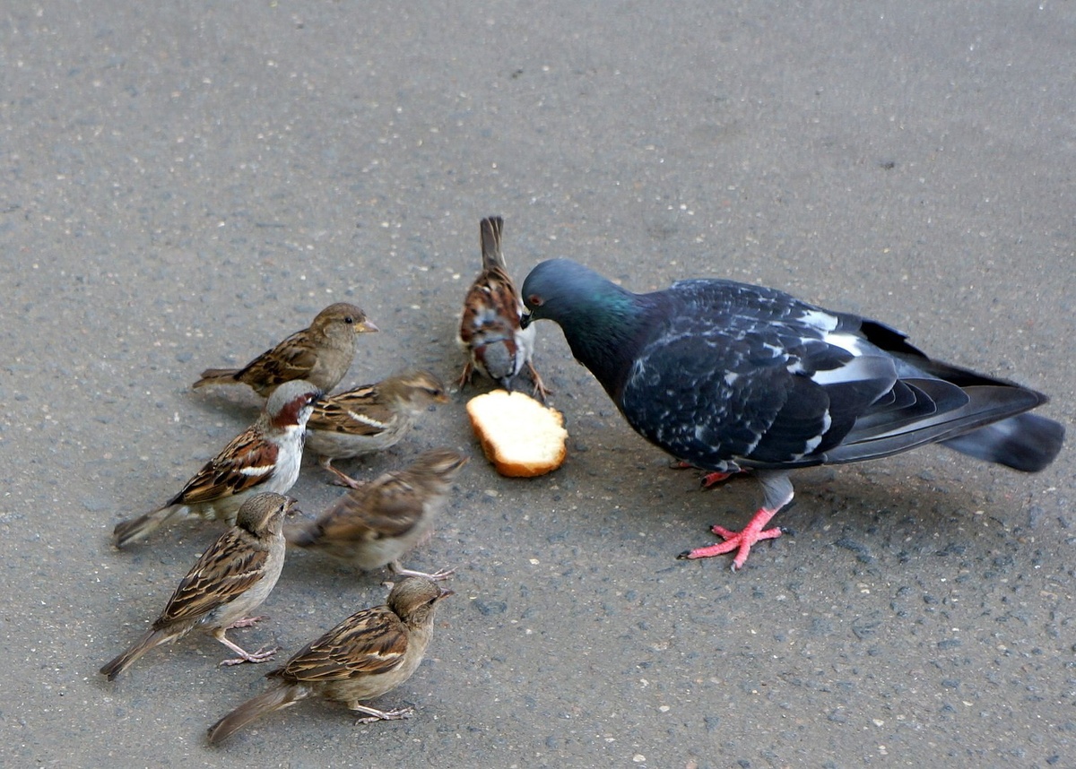 Фото взято из открытых источников