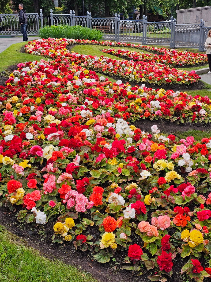 Автор фото Л.Баева