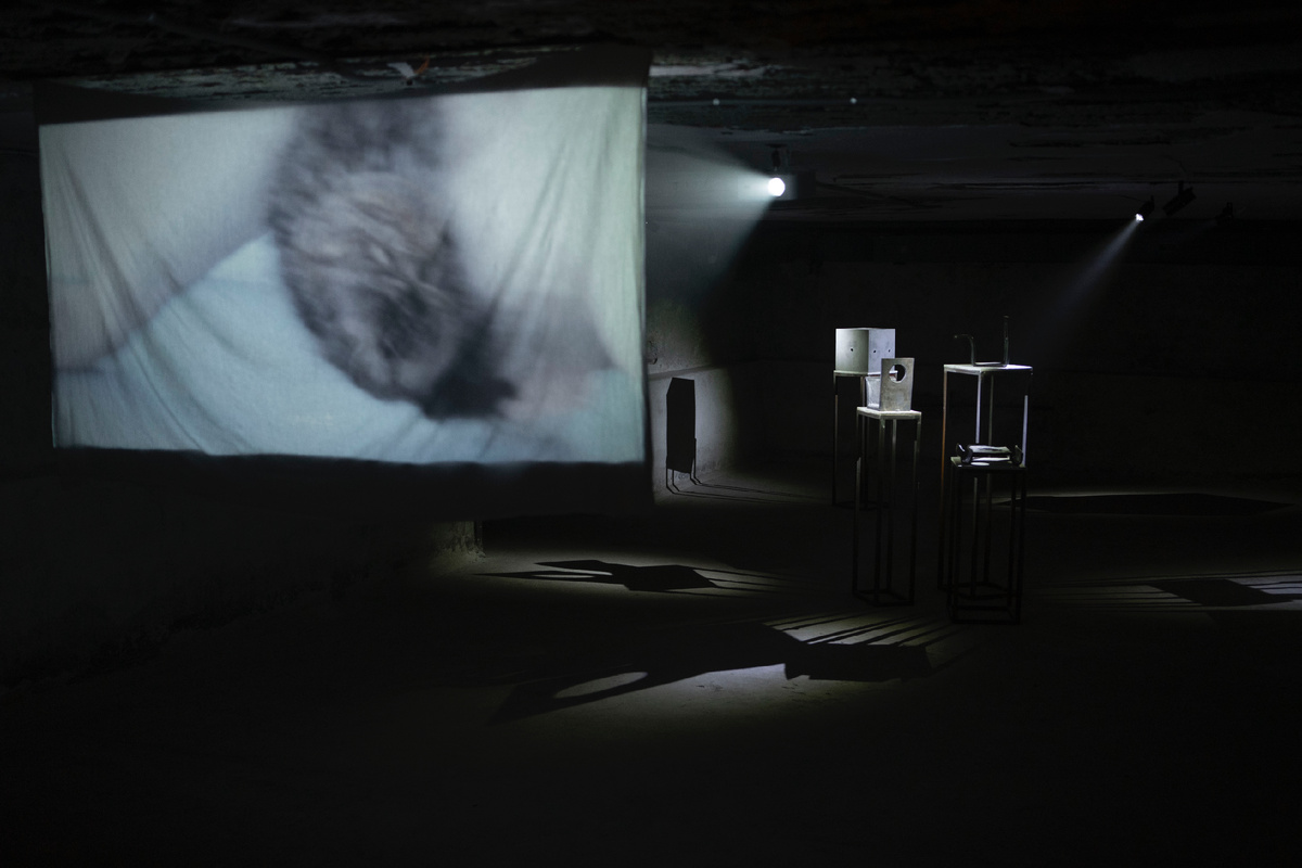 Арина Смирнова decode me gently