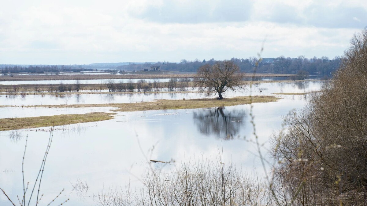    Фото: SkazovD/Shutterstock/Fotodom