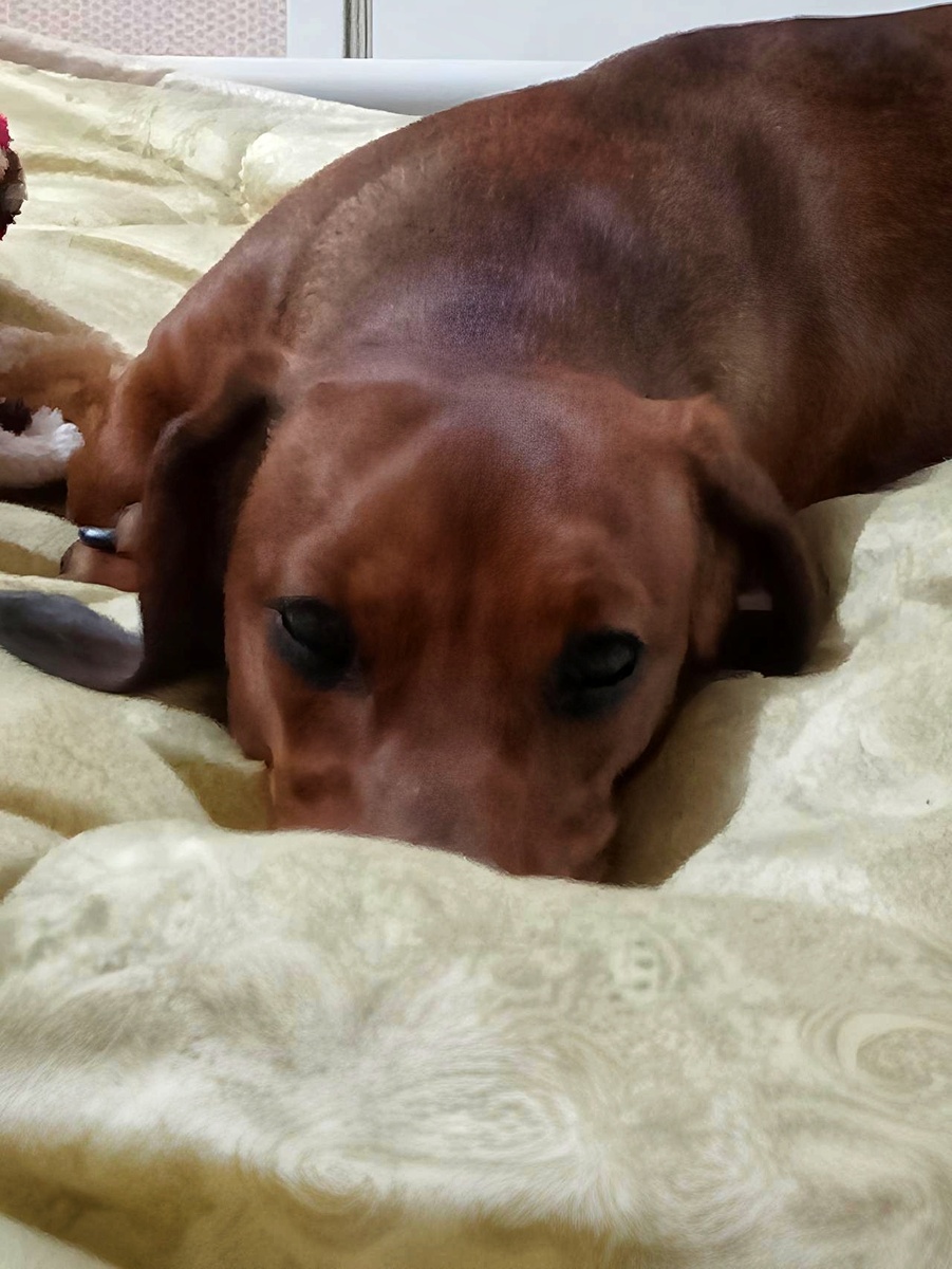 Караулю новую вкусняшку