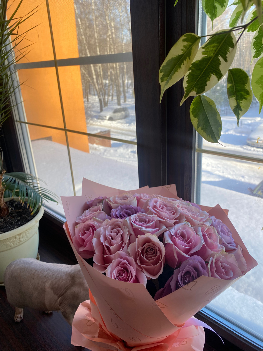 Фото цветов.