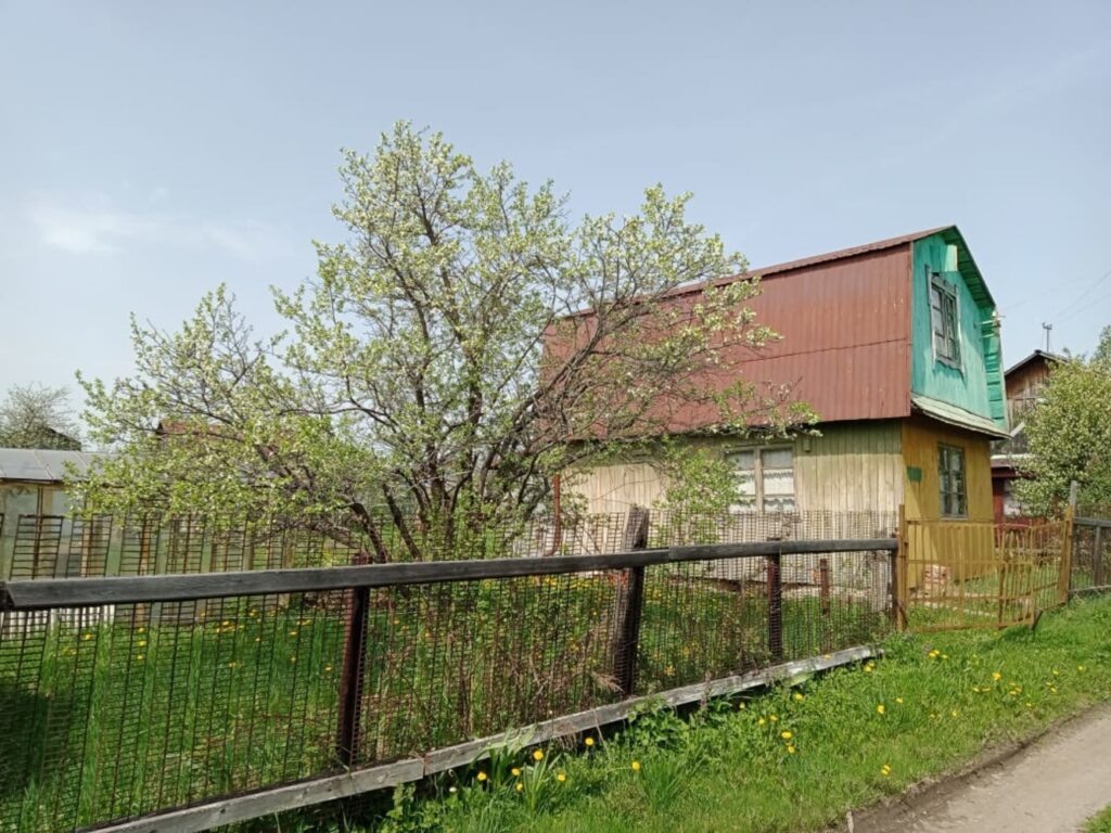    Алена Федорова