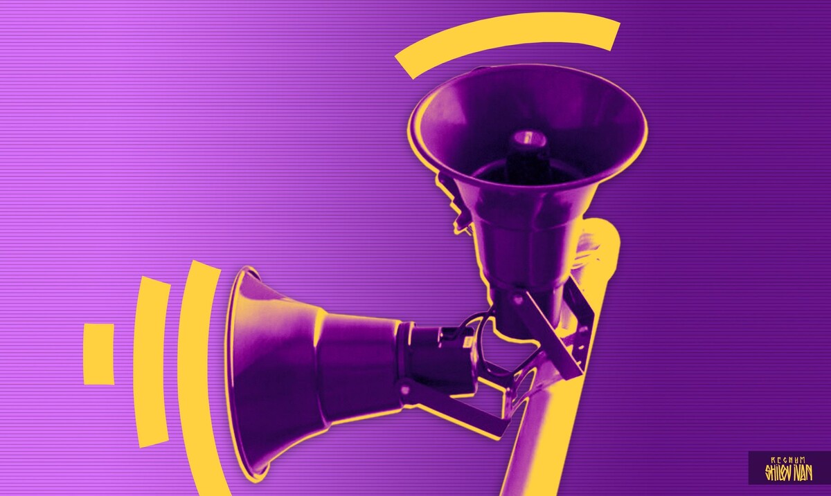    Воздушная тревога / Источник: Иван Шилов © ИА REGNUM