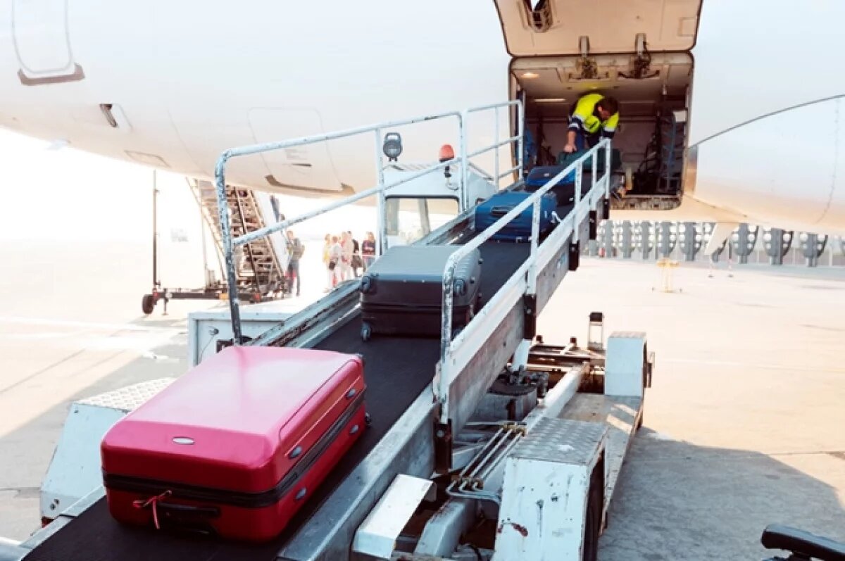    Во Внуково назвали причину снятия багажа с ряда рейсов Turkish Airlines