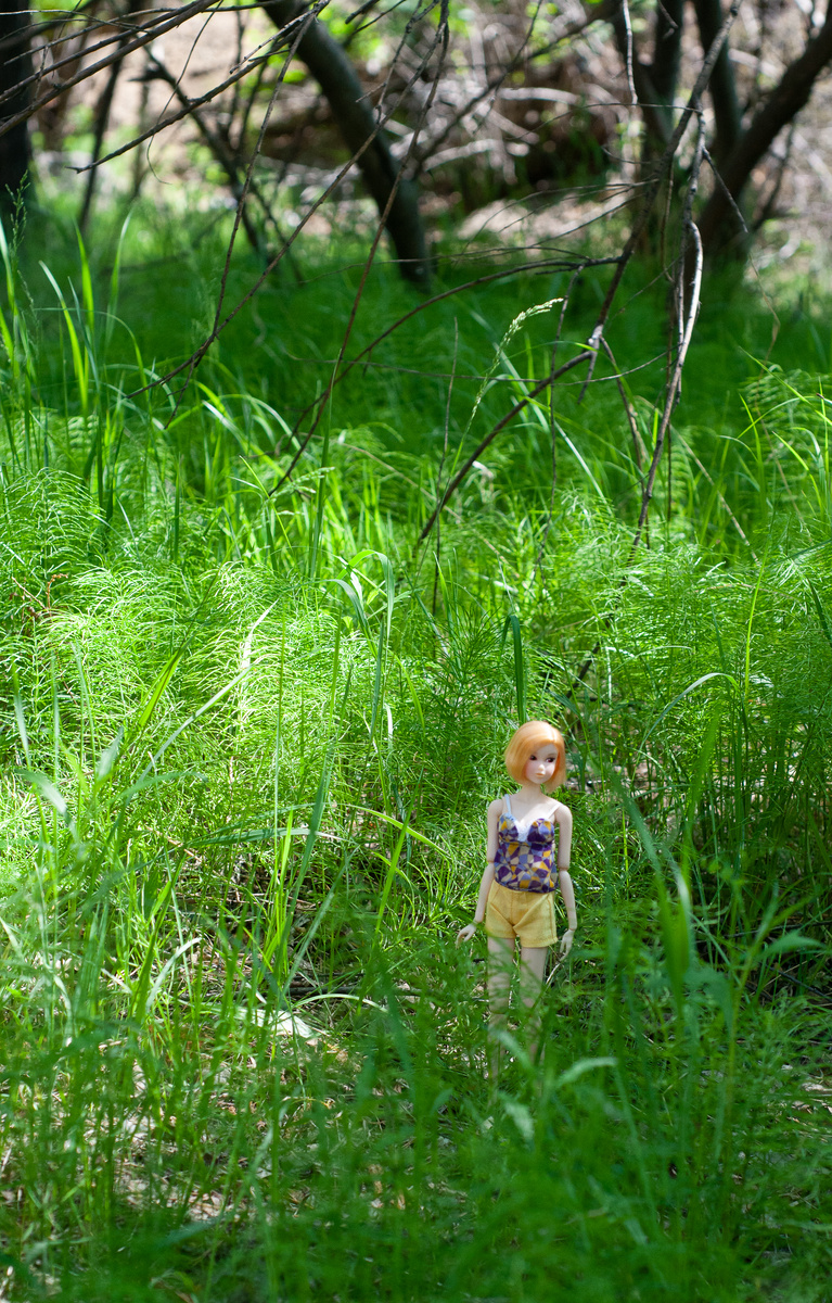 Фокус где-то на траве, но всё равно нравится это фото))