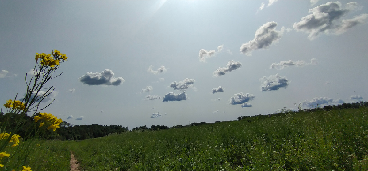 Личное фото