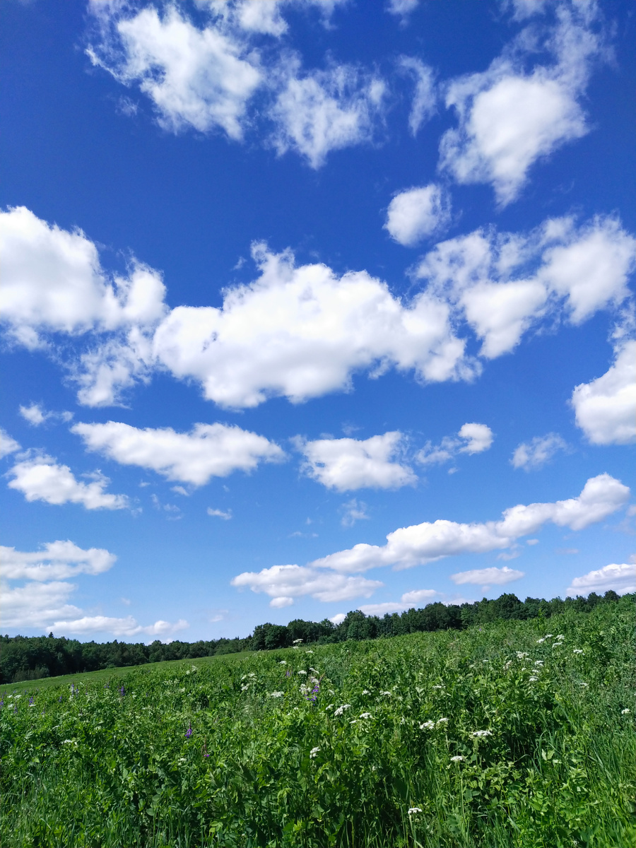 Личное фото