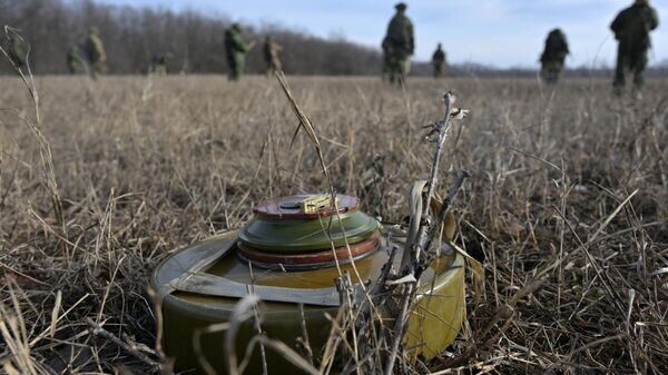    © РИА Новости . Евгений Биятов