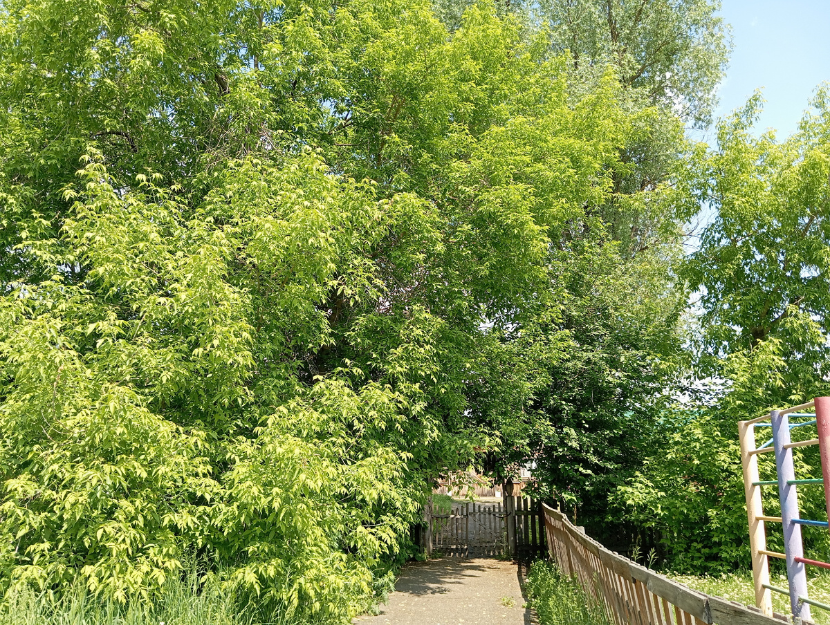 Просто вид с крыльца филиала 