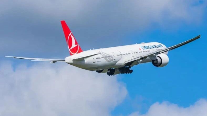    Фото: Minh K Tran/Shutterstock/Fotodom