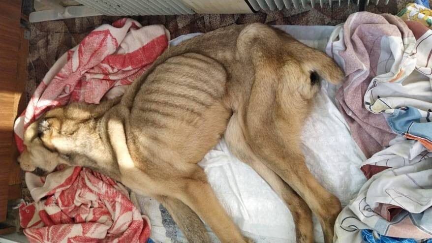    Источник фото: соцсети