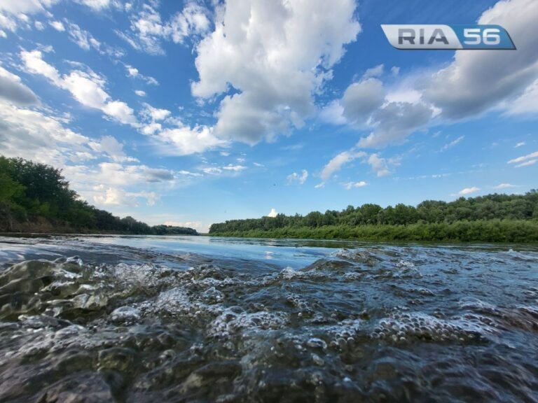    4 смерти: В Оренбуржье за сутки утонули две женщины и двое мужчин Белов Михаил Александрович
