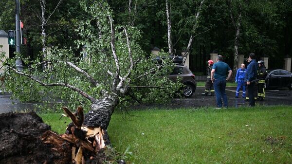    © РИА Новости . Павел Бедняков