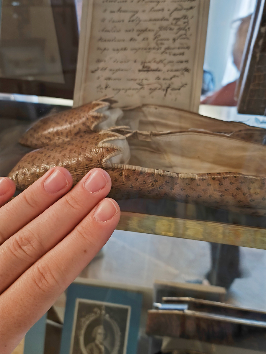 © Яна Левашова 