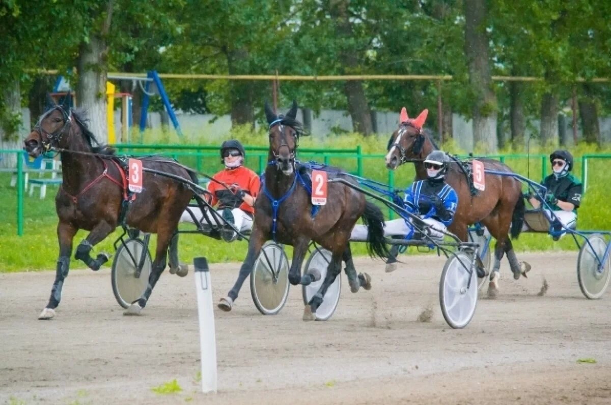    Тамбовский ипподром приглашает зрителей на конные бега