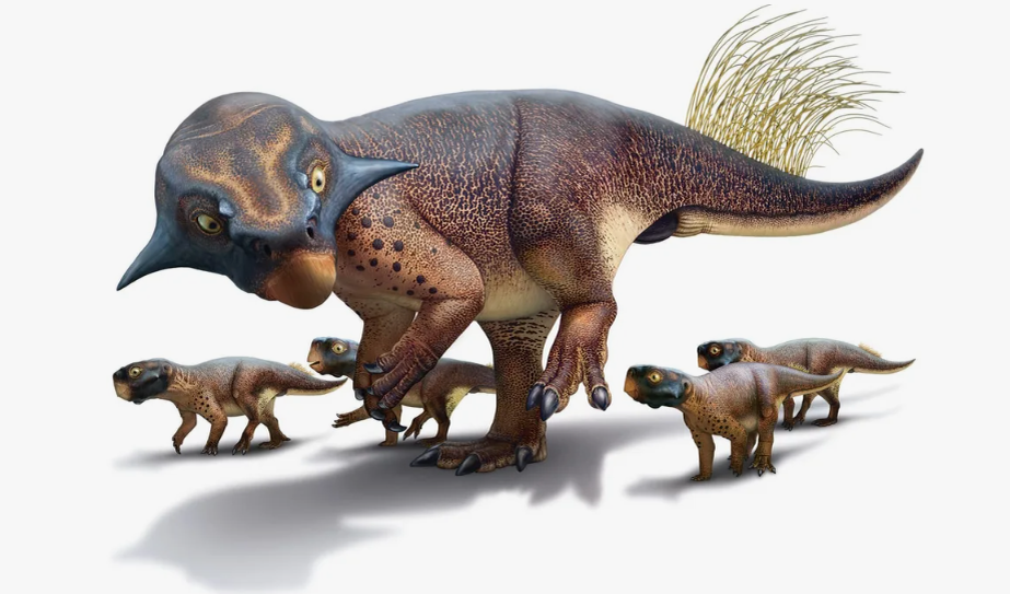 Динозавр Пситтакозавр Сибирский